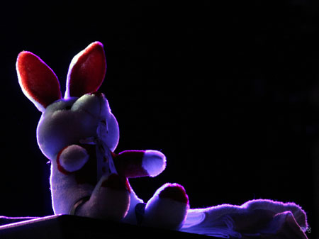 Yo la Tengo Lapin