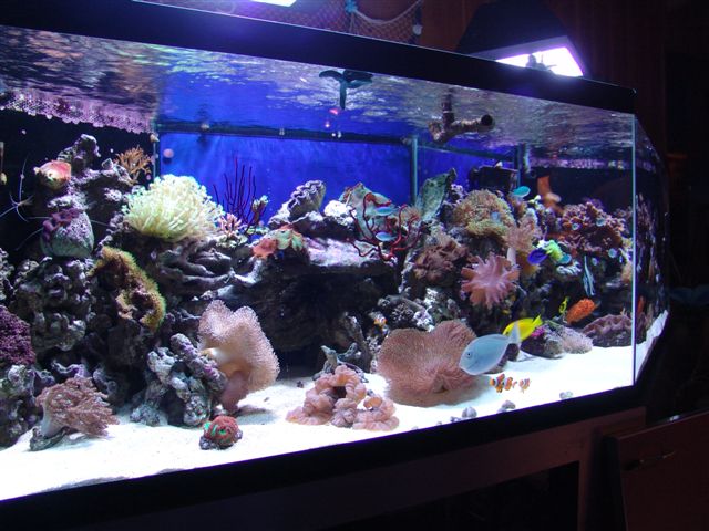 DSC02883