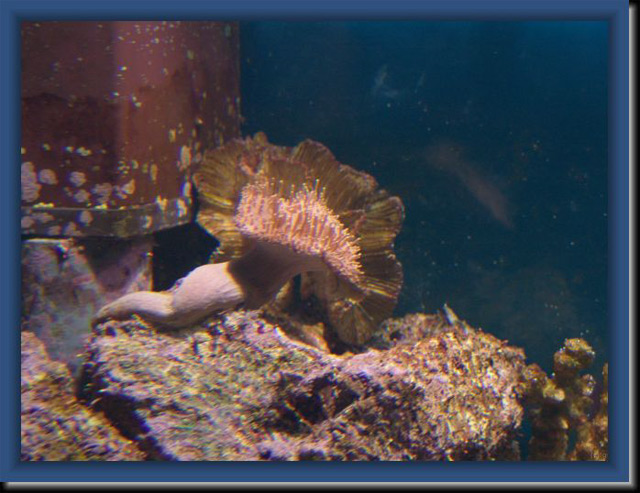 DSC00044