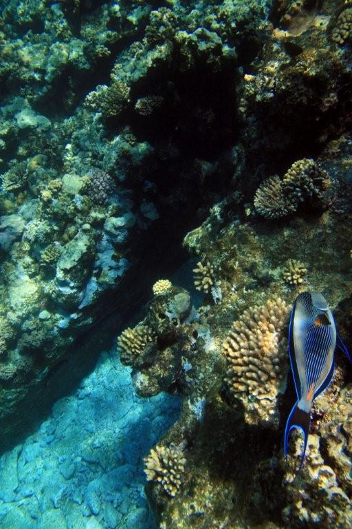 IMG 3782b