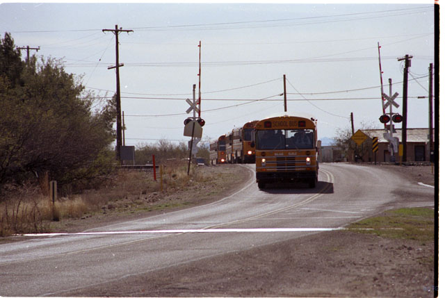 USA T03-31 Bus Scolaire 2