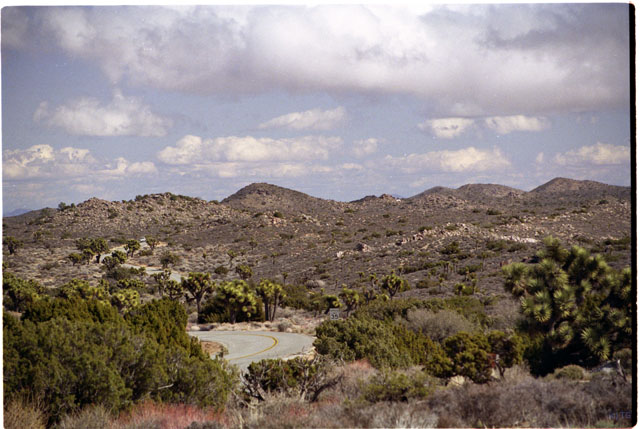 USA T04-28 Route dans le parc
