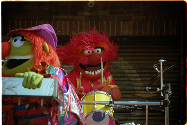 USA T18-21 Muppet